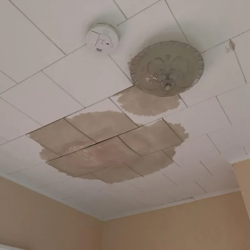 Ceiling Water Damage Repair in Westmoreland, KS