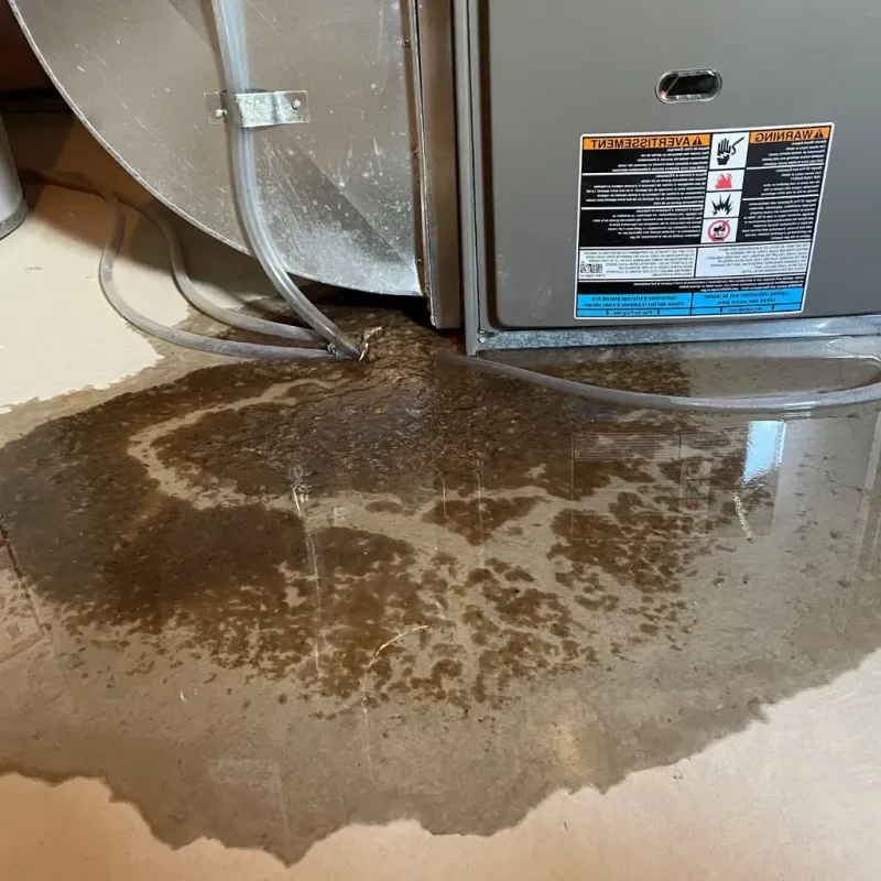 Pipe Burst and Leak Restoration in Westmoreland, KS