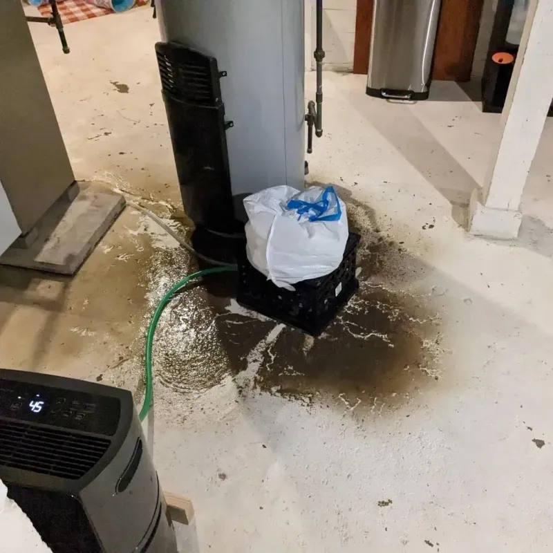 Sewage Backup Cleanup Service in Westmoreland, KS